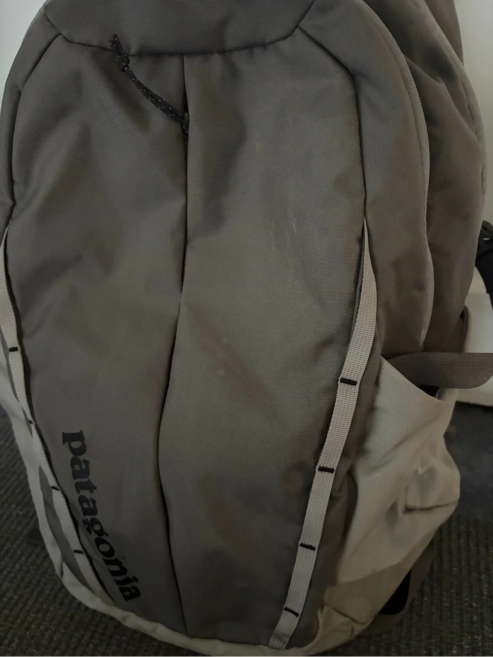 Patagonia Backpack 30L